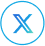 x icon
