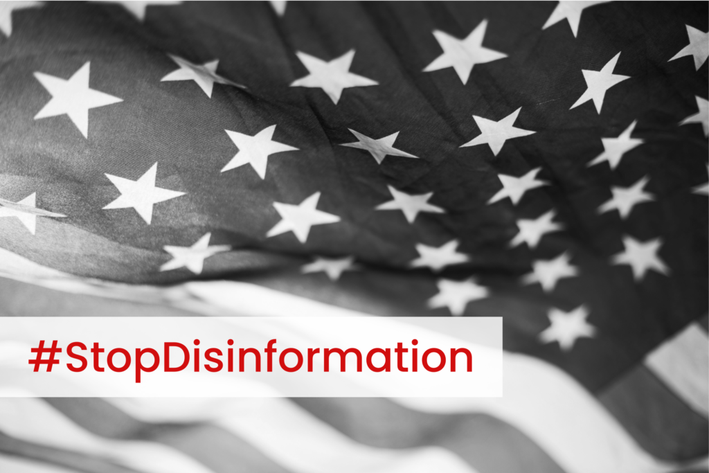 Fake News and US Elections – Can We Stop Disinformation?